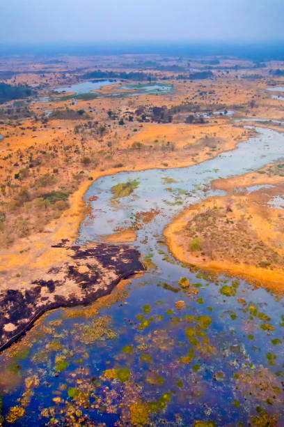 istock Aerial view, Okavango Wetlands, Okavango Delta, Botswana 1309044751
