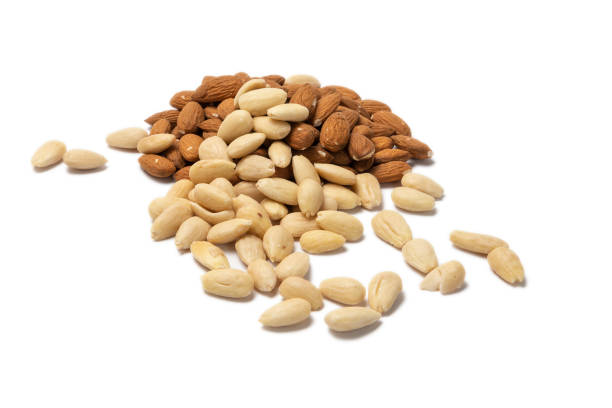 istock Almond isolated. Almonds on white background. 1309045530