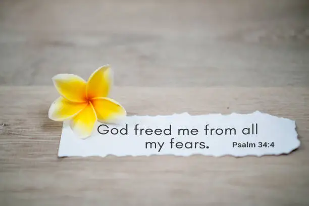 Bible verse quote - God freed me from all my fears. Psalm 34:4 . Spiritual or religious inspirational text message on white torn paper note with a yellow frangipani spring flower on white background.