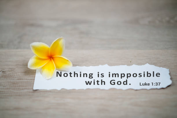 Nothing is impossible with God. Bible verse Luke 1:37 Bible verse quote - Nothing is impossible with God. Luke 1:37 . Spiritual or religious inspirational text message on white paper note with a yellow frangipani spring flower on white background. possible stock pictures, royalty-free photos & images