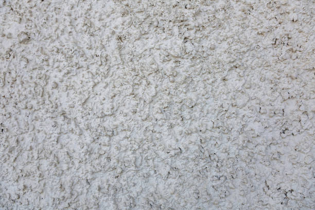 istock Natural stone texture in the garden landscape 1309048003