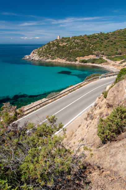 istock scenic and coastal road, with curves and trees 1309049299