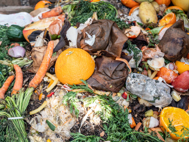 istock Organic waste on a composter in the garden 1309051344
