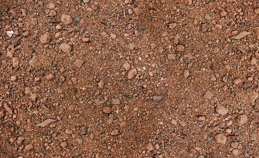 The land is unpaved, for planting seedlings. The texture of the soil. Soil background. Brown.