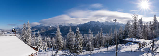 panoramique hivernal. scène de nature de forêt de gel avec la belle neige, le soleil du matin, le ciel bleu. arbre blanc neigeux de noël au soleil. fond de concept de nature de beauté. - tranquil scene tree sunset snow photos et images de collection