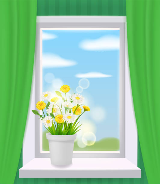 вид на окно в интерьере, весна, цветочный горшок с цветами ромашки и одуванчики на подоконнике, шторы. векторная иллюстрация реалистична - chamomile plant glass nature flower stock illustrations