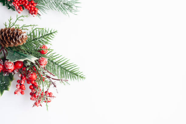 istock Christmas flat lay, spruce twigs, red berries and cones on a white background, copy space 1309055761