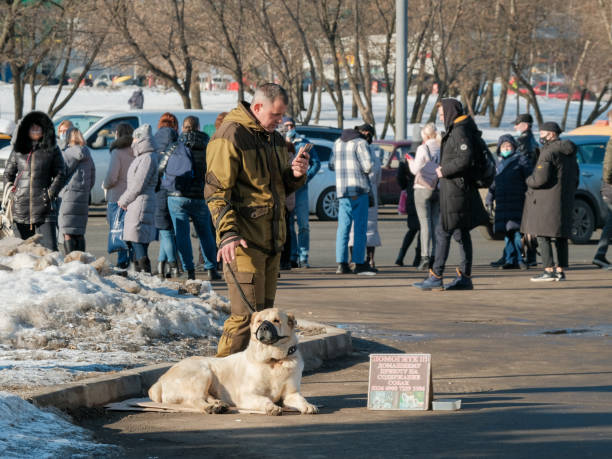 mężczyzna z psem prosi o jałmużnę na ulicy miejskiej. - spring bud horizontal color image zdjęcia i obrazy z banku zdjęć
