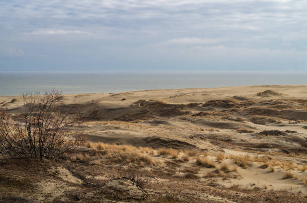 istock Sand dunes on the beach. Desert landscape. 1309057687
