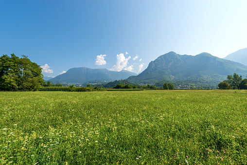 Valsugana or Val Sugana. Summer Landscape of Sugana Valley with Green Meadows and Mountains. Borgo Valsugana, Trentino Alto Adige, Italy, Europe.
