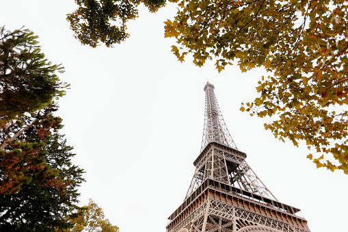Eiffel tower in autumn. France trip during vacation. High quality photo