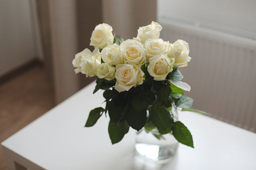 Simple minimal composition, glass vase with white roses on white table indoors