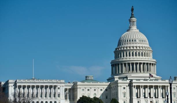 istock Capitol Building & Politics 1309062960
