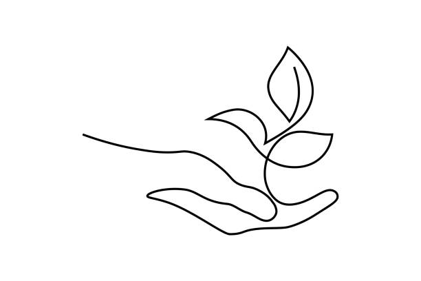 Environment conservation icon Environment conservation icon in continuous line art drawing style. Plant in human hand as a symbol of nature protection and eco friendly consumption black linear design isolated on white background continuous line drawing illustrations stock illustrations
