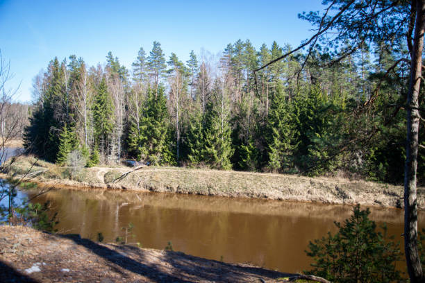 istock scenic spring river view in forest with green foliage tree leaf and low water with rocks and sand in stream. spring landscape 1309064824