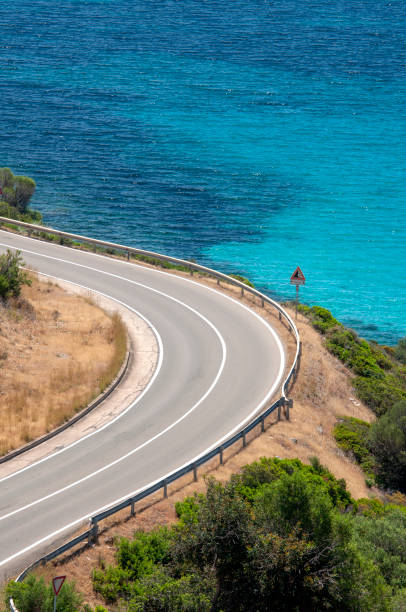 istock scenic and coastal road, with curves and trees 1309067337