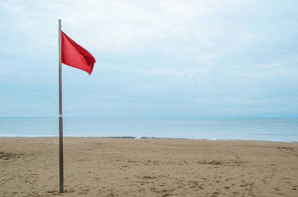 istock Empty sandy beach and red storm flag on a cloudy day 1309067537