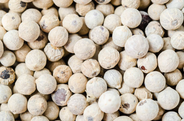 istock Dried white peppercorn seeds 1309067982