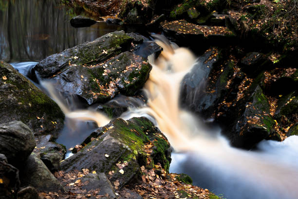 istock Amazing mountain waterfall landscape. Autumn forest and waterfall background. 1309070919