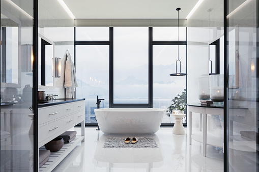 Modern Bathroom Interior With Bathtub, Cabinet, Potted Plant And Toilet