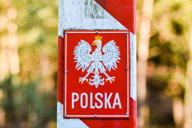 istock Sunny tunnel between trees in the forest. 1309075076
