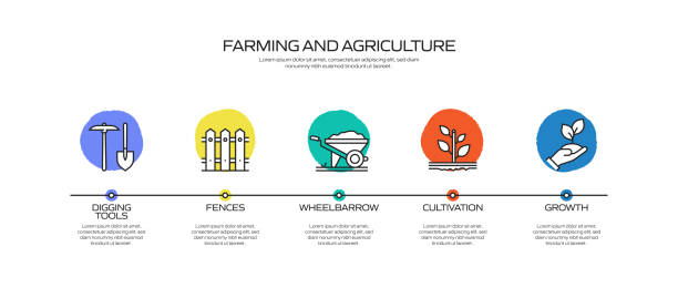 Farming and Agriculture Related Process Infographic Template. Process Timeline Chart. Workflow Layout with Icons Farming and Agriculture Related Process Infographic Template. Process Timeline Chart. Workflow Layout with Icons timeline visual aid stock illustrations