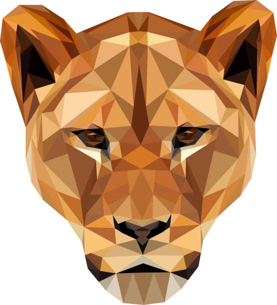düşük poli aslan kafası illüstrasyon - dişi aslan stock illustrations