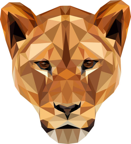 Low poly Lion head illustration Low poly, geometrical, illustration of a lion head isolated lioness stock illustrations