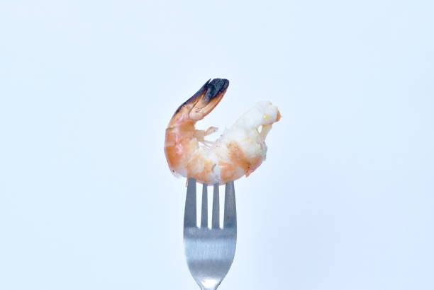 istock grilled river shrimp stabbing by silver fork on white background 1309079315