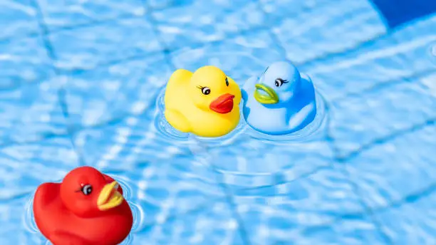 Photo of Yellow rubber duck. Funny kids inflatable red and blue toy float in water of summer pool. Funny bird toy for kids.