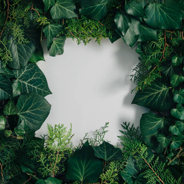 istock Creative layout made of green spring or summer leaves with copy space. Minimal flat lay background. 1309079634