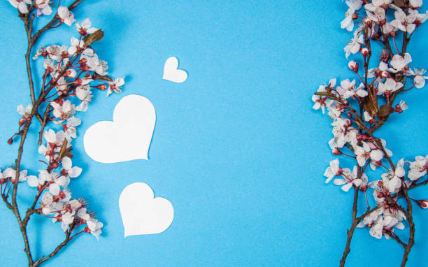 istock Creative spring layout made of cherry blossom tree branch with hearts shape on blue background, spring concept with copy space, flower frame, flat lay, top view 1309079641