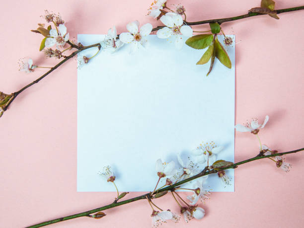 istock Creative composition of note paper with white blossom tree branches on pink background, spring concept with copy space, flat lay, top view 1309080320
