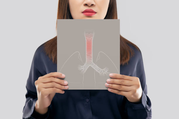 Bronchitis Asian woman holding a white paper trachea and lungs picture of his mouth against the gray background. Bronchitis symptoms. Concept with healthcare and medicine. oesophagus stock pictures, royalty-free photos & images