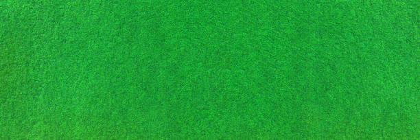 istock Green carpet for outdoors in panoramic close-up 1309080671
