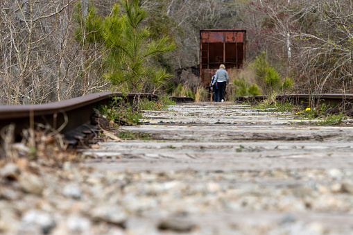 A person walks on abandoned train tracks with pine trees growing from them and a rusty train car.
