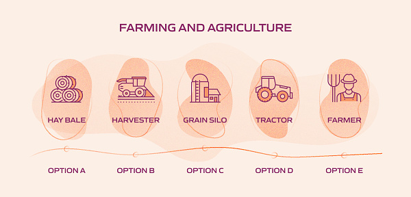 Farming And Agriculture Related Process Infographic Template Process ...