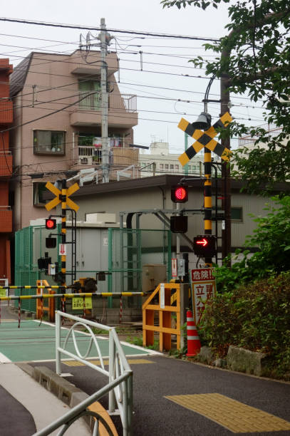 istock Railroad crossing with traffic light 1309082505