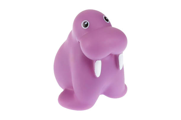 istock A toy walrus. On a white background, isolated 1309087796