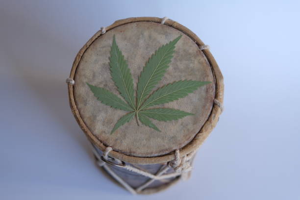 cannabis leaf on drum. dried cannabis leaf on an old handmade drum