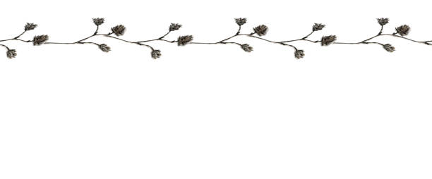 istock Small laid-back watercolor illustration of delicate pastel, beige fluffy branches in the sketch style, border with copyspace, isolated on a white background. 1309087925