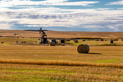 Oil derreck in a hay field surrounded by hay bales. Kneehill County, Alberta, Canada