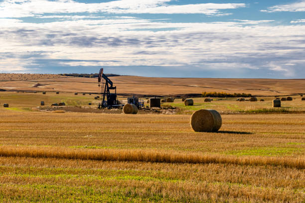 Oil derreck in a hay field surrounded by hay bales. Kneehill County, Alberta, Canada Oil derreck in a hay field surrounded by hay bales. Kneehill County, Alberta, Canada oil pump oil industry alberta equipment stock pictures, royalty-free photos & images