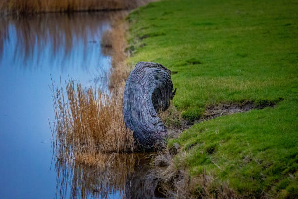 日没時のロムニー・マーシュ - romney marsh ストックフォトと画像