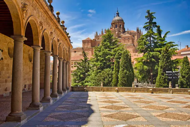 The cathedral of Salamanca seen from the courtyard of the Convento de las Duenas monastery, across fir trees in Salamanca, Spain