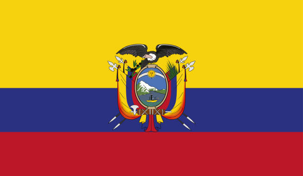 ilustraciones, imágenes clip art, dibujos animados e iconos de stock de bandera altamente detallada de ecuador - bandera ecuatoriana alto detalle - vector de la bandera de ecuador. eps, vector - ecuador