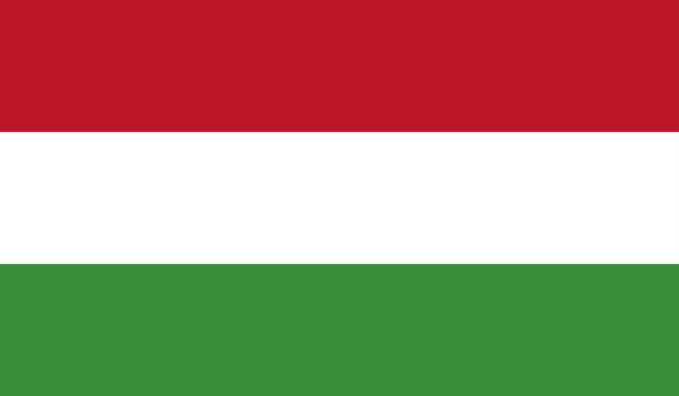 bardzo szczegółowa flaga węgier - węgry flaga wysoki szczegół - flaga narodowa węgry - wektor flagi węgier, eps, wektor - hungary hungarian culture hungarian flag flag stock illustrations