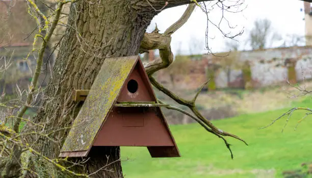 Photo of Close up of owl box on tree