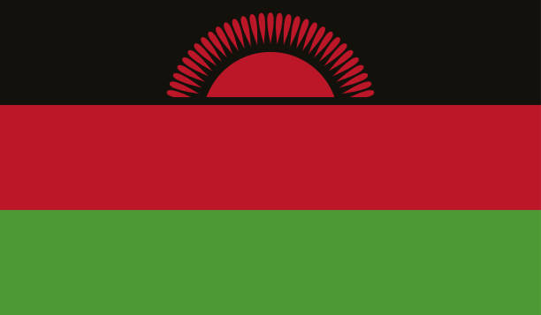 bardzo szczegółowa flaga malawi - malawi flag high detail - flaga narodowa malawi - wektor malawi flaga, eps, wektor - africa backgrounds canvas celebration stock illustrations