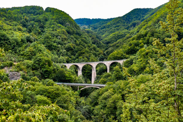 istock Bridges among greenery in Montenegro, Europe. 1309095814